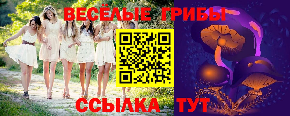Псилоцибиновые грибы мицелий Усолье-Сибирское